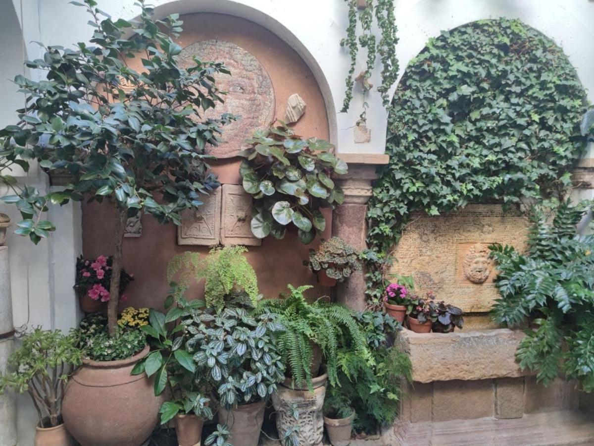 Apartamento El Capricho De San Fernando, Consigna Gratis Y Parking A 200mts