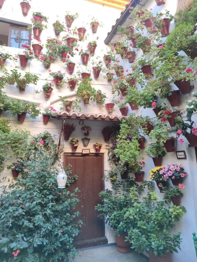 Apartamento El Capricho De San Fernando, Consigna Gratis Y Parking A 200mts Córdoba