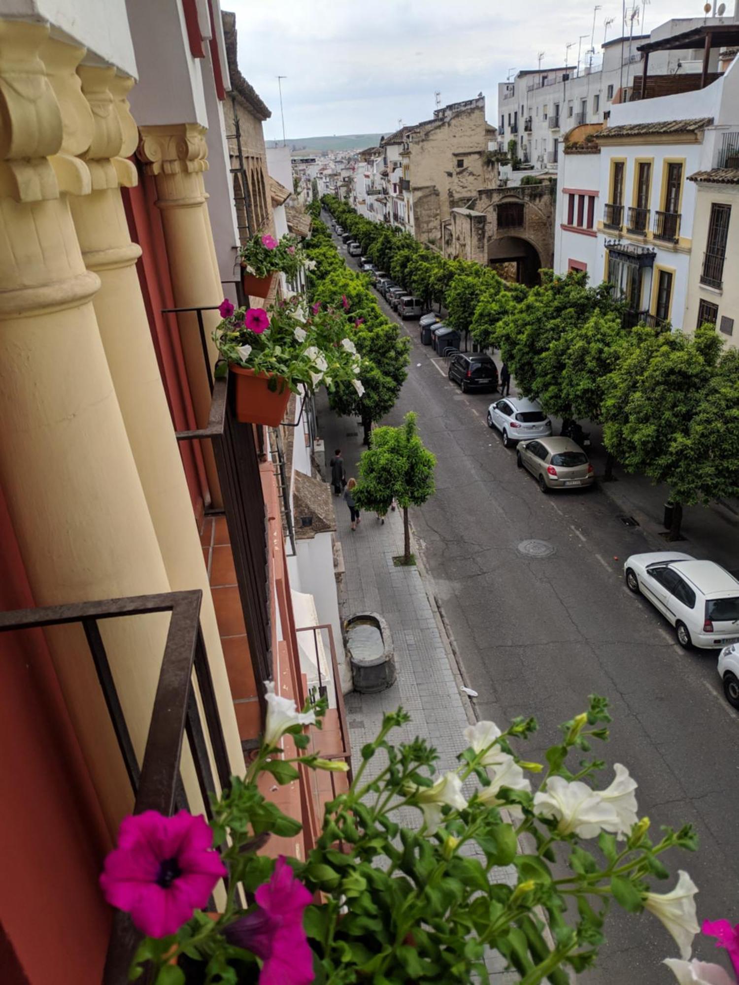 Apartamento El Capricho De San Fernando, Consigna Gratis Y Parking A 200mts Córdoba