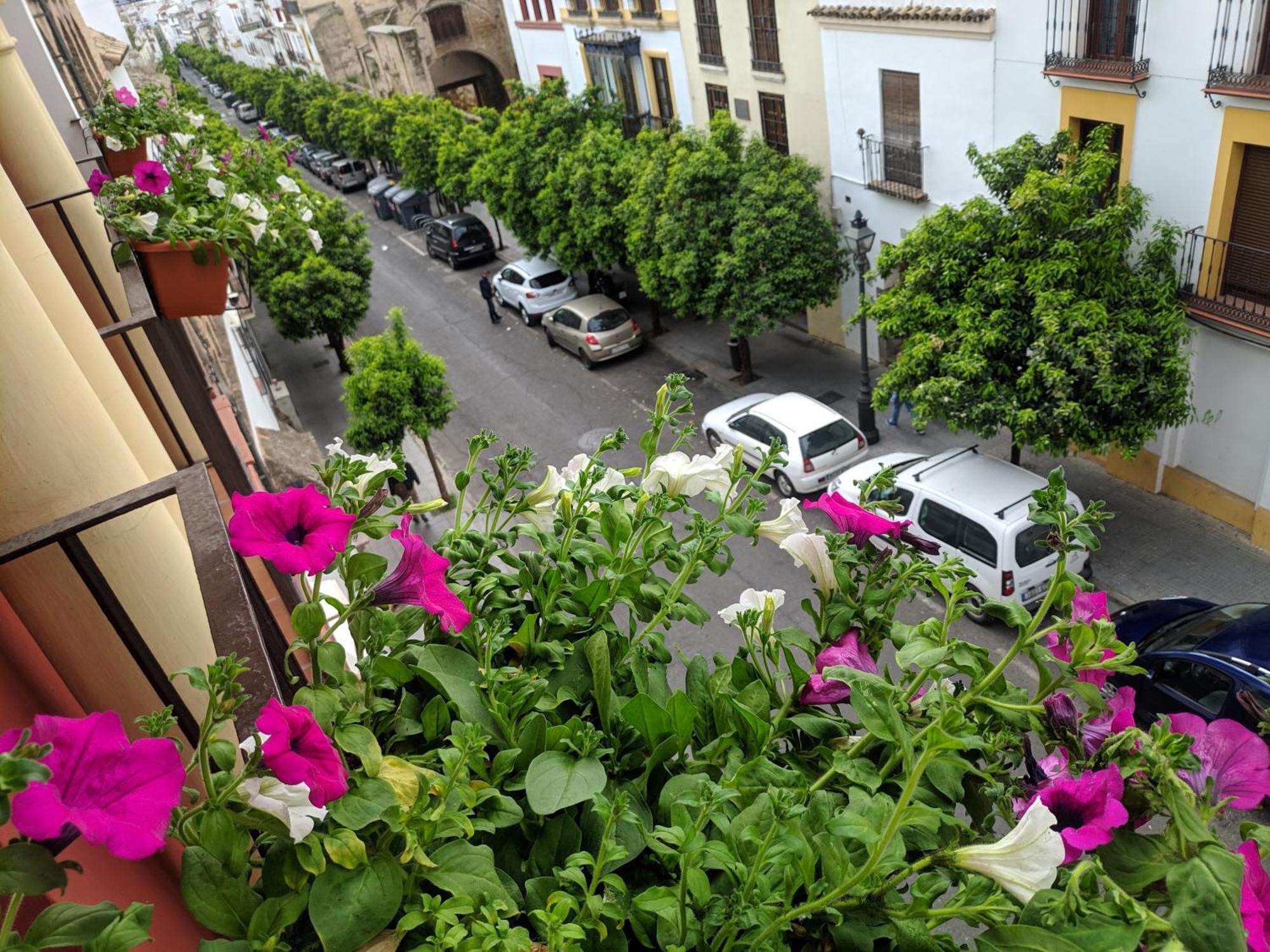 Apartamento El Capricho De San Fernando, Consigna Gratis Y Parking A 200mts *