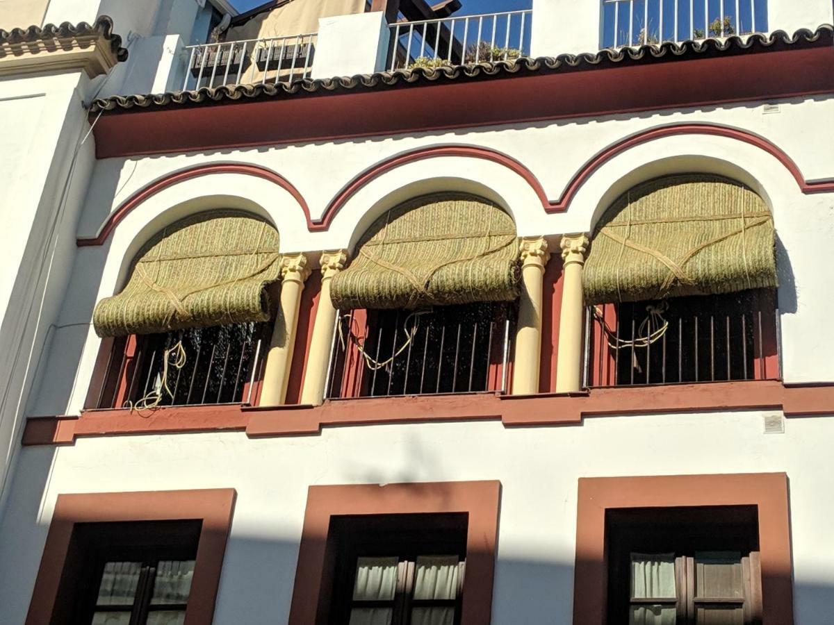 El Capricho De San Fernando, Consigna Gratis Y Parking A 200mts Apartamento